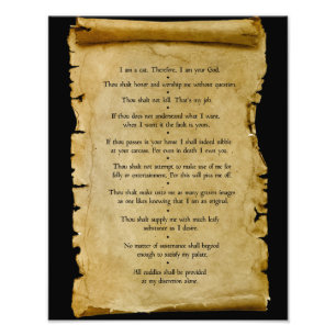 Foto Os Dez Mandamentos do Gato