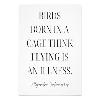 Foto Os pássaros Nasceres em uma gaiola pensam que voar