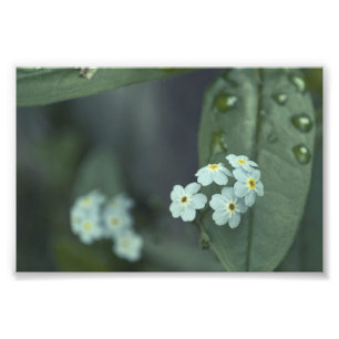 Foto Os pingos de chuva mantêm-se cair
