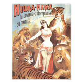 Foto Os sussurros de Nouma Hawa para os tigres