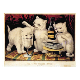 Foto Os três gatinhos ávidos no banquete Ives
