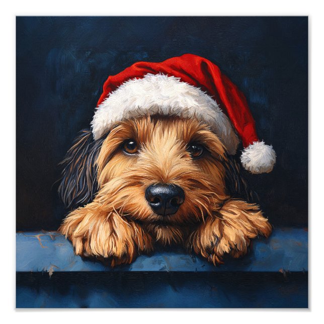 Foto Otterhound Em Um Chapéu De Papai Noel (Frente)