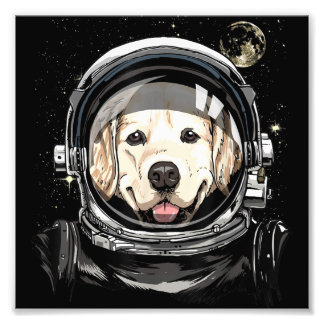 Foto Ouro do Astronauta do Espaço Exterior Pet D