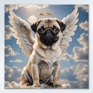 Foto Ouro, o cão entra no céu