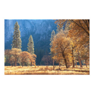 Foto Outono em Meadow