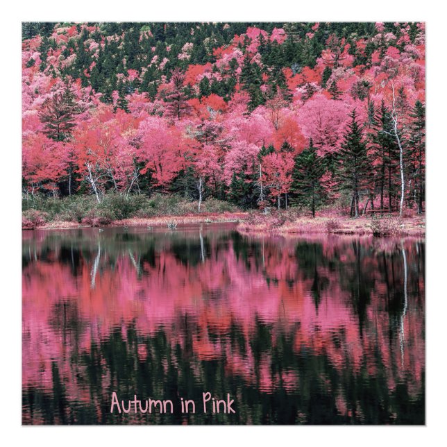 Foto Outono em rosa (Frente)