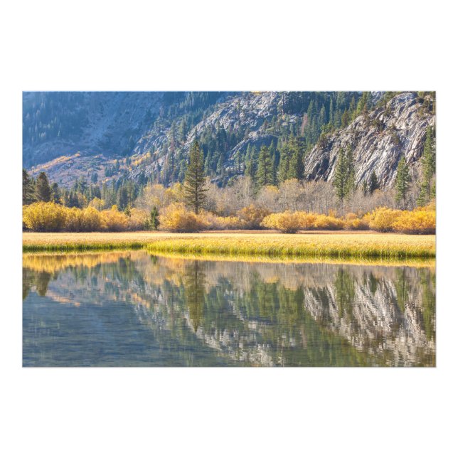 Foto Outono no lago (Frente)