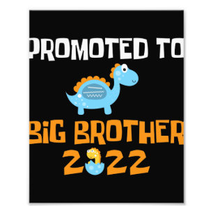 Foto Ovo De Dinossauro Promovido Ao Irmão Grande