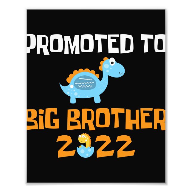 Foto Ovo De Dinossauro Promovido Ao Irmão Grande (Frente)