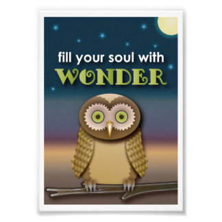 Foto Owl Art Impressão
