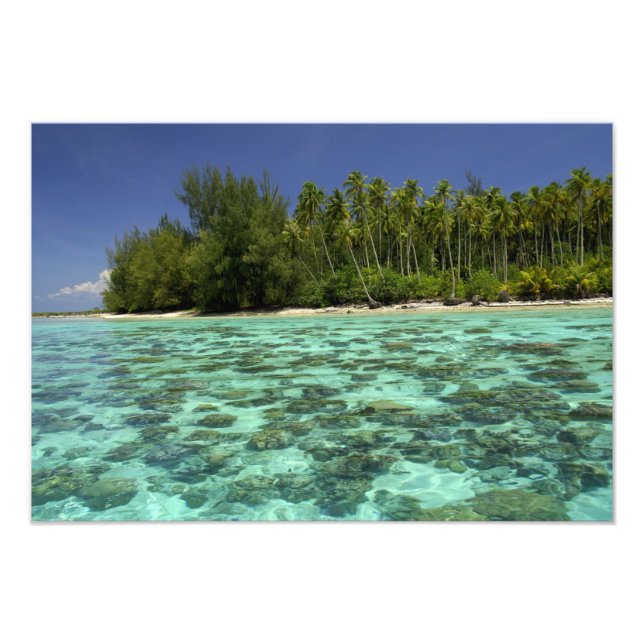 Foto Pacífico Sul, Polinésia Francesa, Moorea 3 (Frente)
