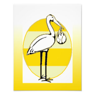 Foto Pacote de Stork e Baby