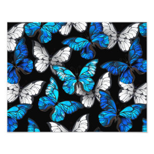 Foto Padrão contínuo escuro com borboletas azuis Morpho