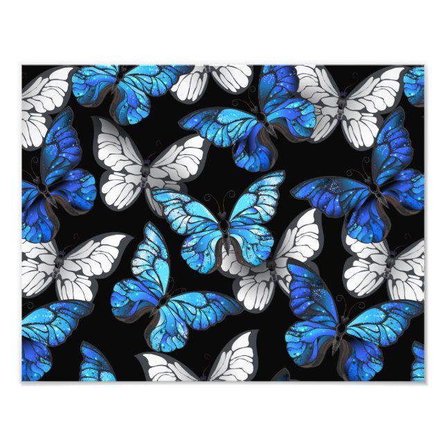 Foto Padrão contínuo escuro com borboletas azuis Morpho (Frente)