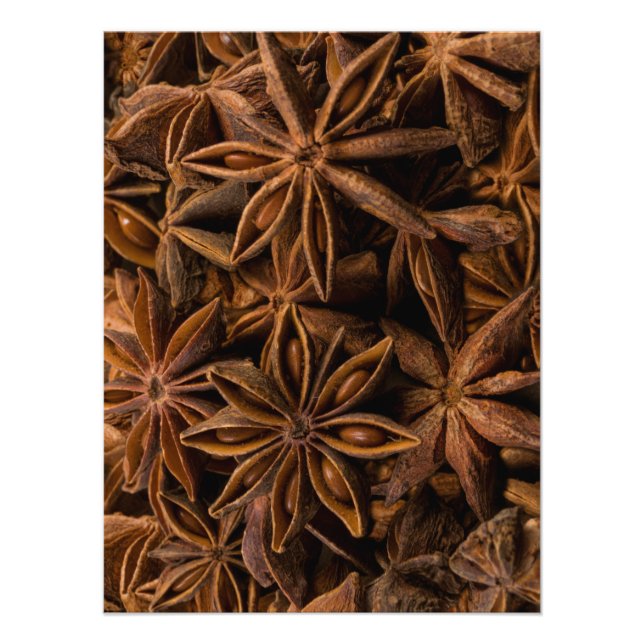 Foto Padrão de Anise Stars (Frente)
