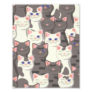 Foto Padrão de gatos brancos e cinzas