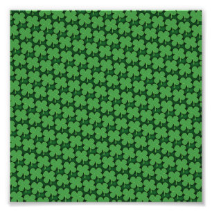 Foto Padrão de Shamrock