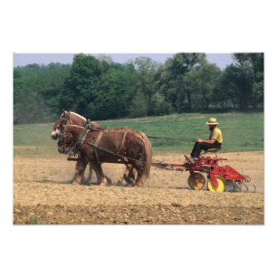 Foto País Amish pessoas simples na agricultura com