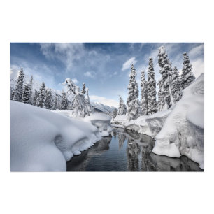 Foto País das maravilhas do inverno