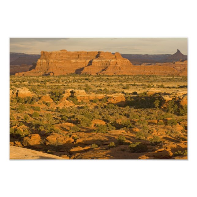 Foto Paisagem cenômica do deserto no inverno a caminho  (Frente)