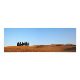 Foto Paisagem da Toscana com ciprestes panorama impress