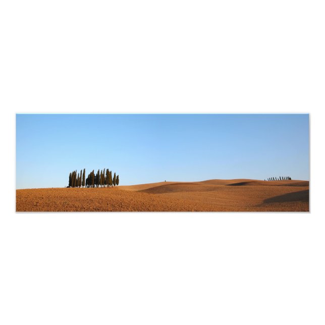 Foto Paisagem da Toscana com ciprestes panorama impress (Frente)