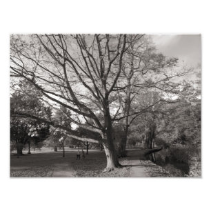 Foto Paisagem de outono, Parque de Bute, Cardiff