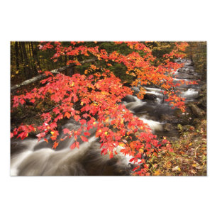 Foto Paisagem de outono, Vermont, EUA 4