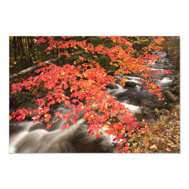 Foto Paisagem de outono, Vermont, EUA 4 (Frente)