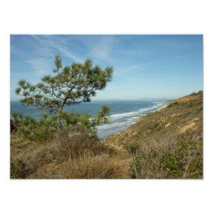 Foto Paisagem de Torrey Pine e Costa da Califórnia