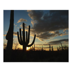 Foto Paisagem do Deserto de Arizona Saguaro Sunset II