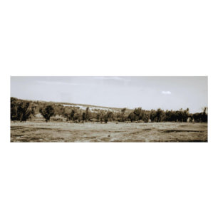 Foto Paisagem Extra grande