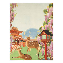 Foto Paisagem JAPONESA | veado sagrado de Nara | templo