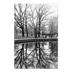 Foto Paisagem lindo do inverno no Central Park