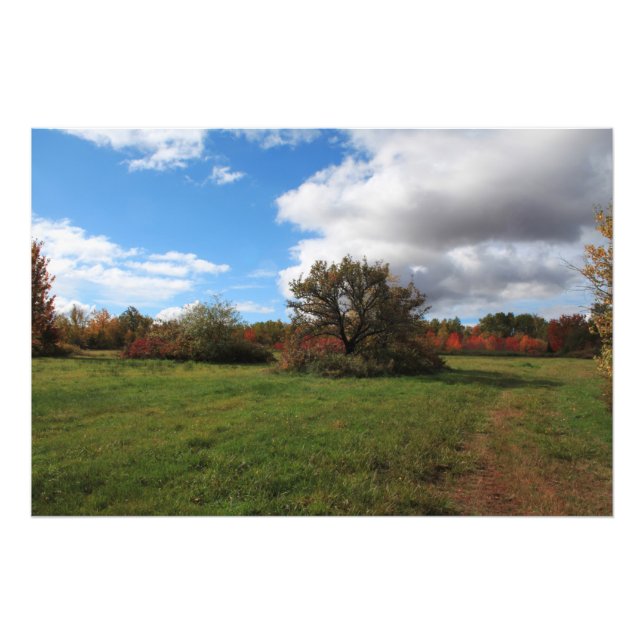 Foto Paisagem rural linda Nova Escócia (Frente)