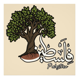 Foto Palavra Árabe Palestina com Árvore Oleícola Palest
