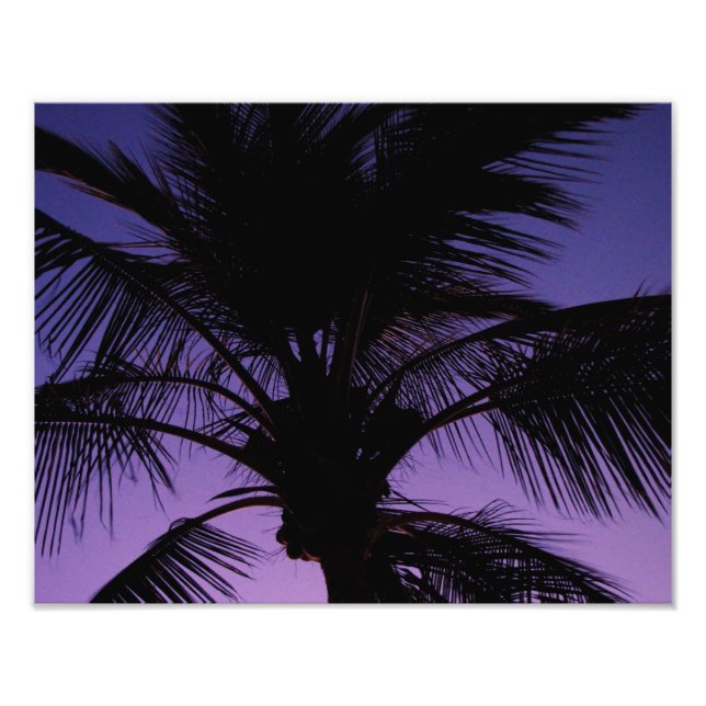 Foto Palm Frond Silhouette (Frente)