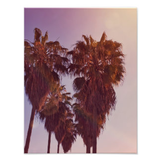 Foto Palm Tree Heart Photo