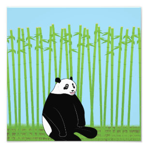Foto Panda na impressão da Floresta Bamboo