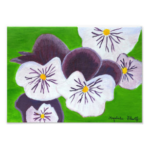 Foto Pansies impressão