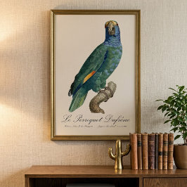 Foto Papagaio-de-bochecha-azul, Amazona dufresniana