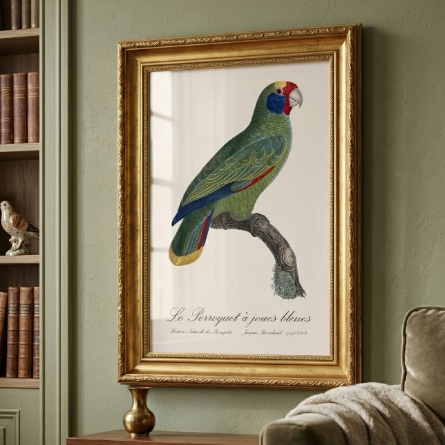 Foto Papagaio-de-cauda-vermelha, Amazona Brasiliensis (Red-Tailed Parrot Amazon, Amazona Brasiliensis. Photo Print)