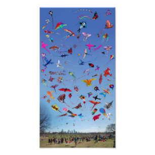 Foto Papagaios Mortos No Céu