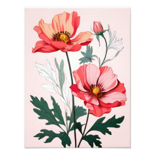 Foto Papagaios Rosa Sonhos