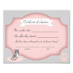 Foto papel da certificação do partido da adopção do
