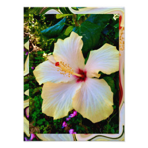 Foto Papel Fotográfico Profissional Kodak (Satin) Ampli