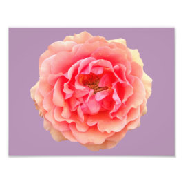 Foto Papel Fotográfico profissional Pinky Kodak (Satin)