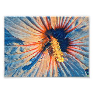 Foto Papel Fotográfico Satin Premium - Alargamento