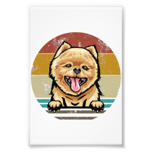 Foto Papel Fotográfico Satin Premium do Cachorro