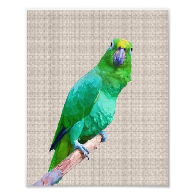 Foto Papel Macaw Verde em um Texto Personalizável do Li (Frente)